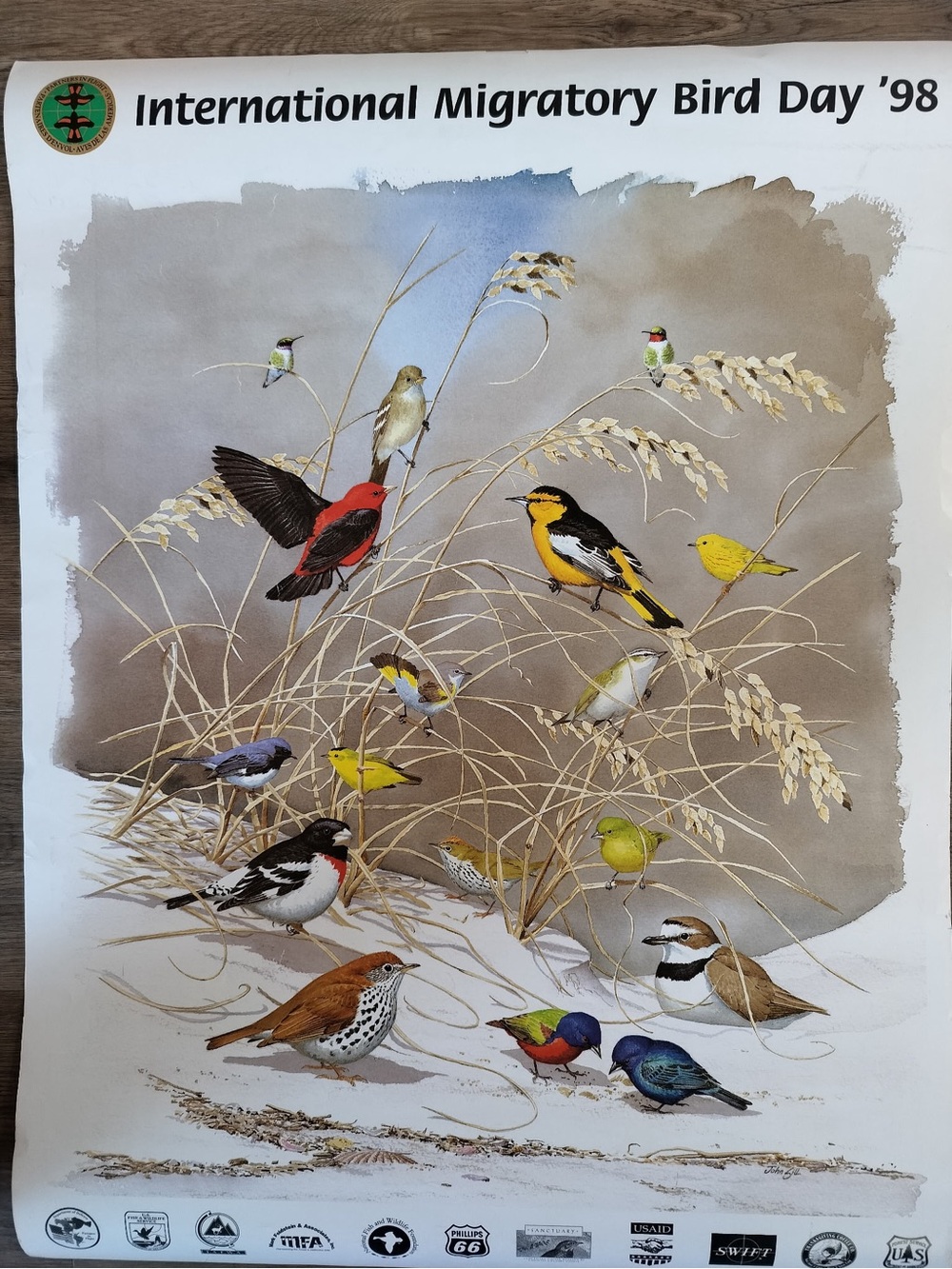 1998 Migratory Bird Day Poster 2-Sided Art John Sill Wildlife Map 18x24”